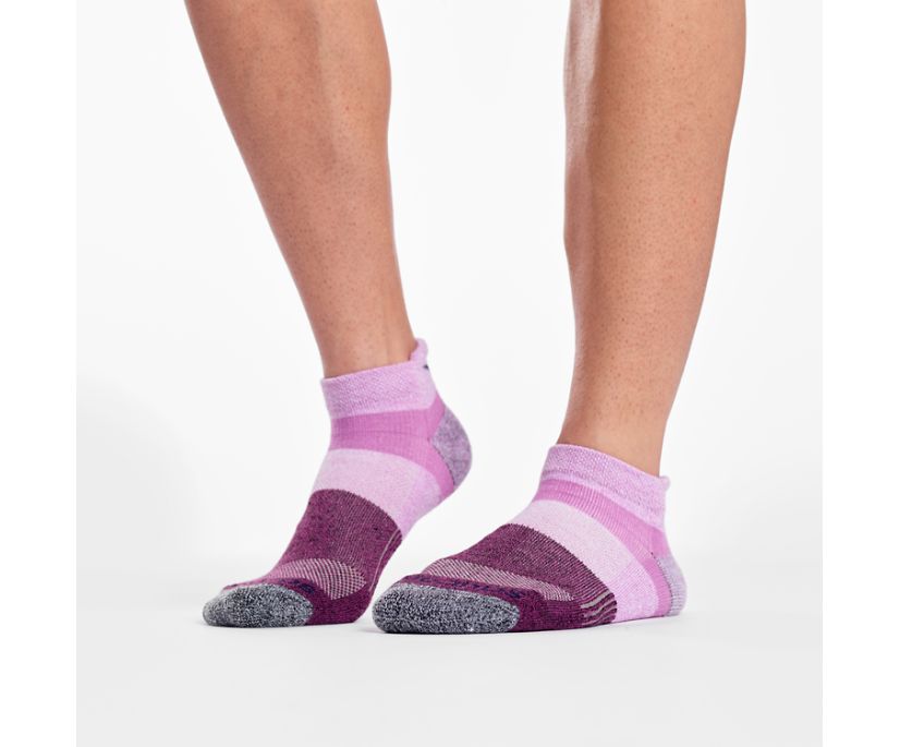 Saucony Inferno No Show Tab 3-Pack Socks Ženske Čarape Roze | ICPII0GI