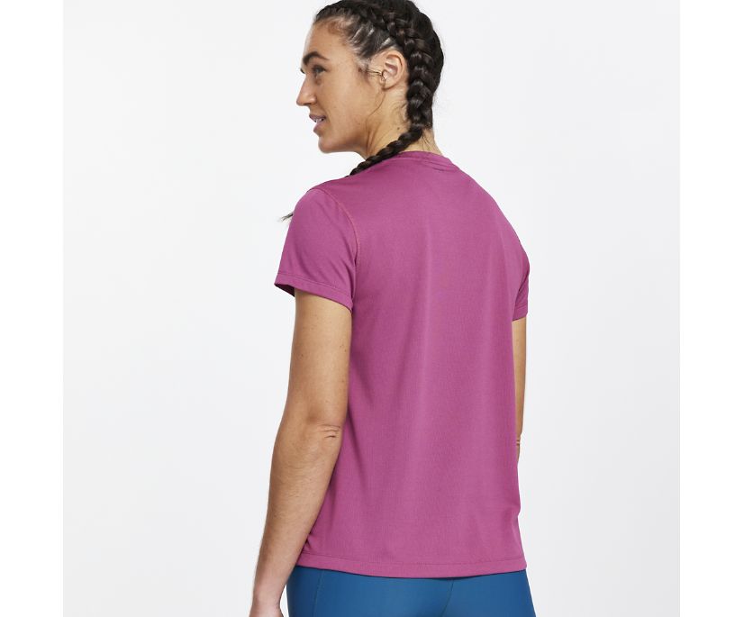 Saucony Stopwatch Short Sleeve Ženske Tops Roze | 6HZNJZ4C