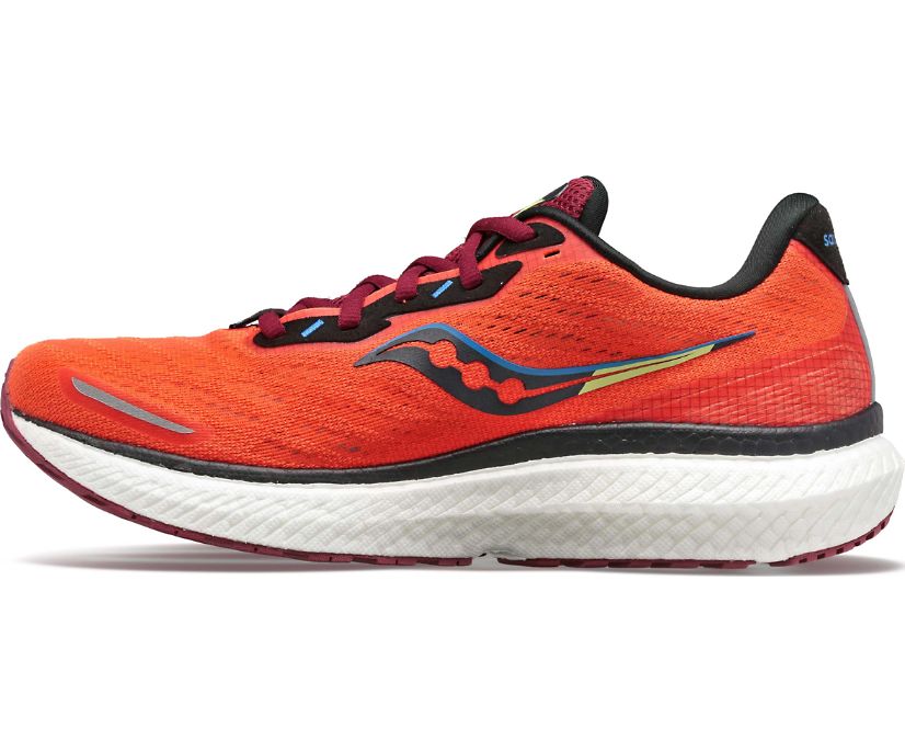 Saucony Triumph 19 Muške Tenisiće Crvene Narančaste | 8XLF3ENX