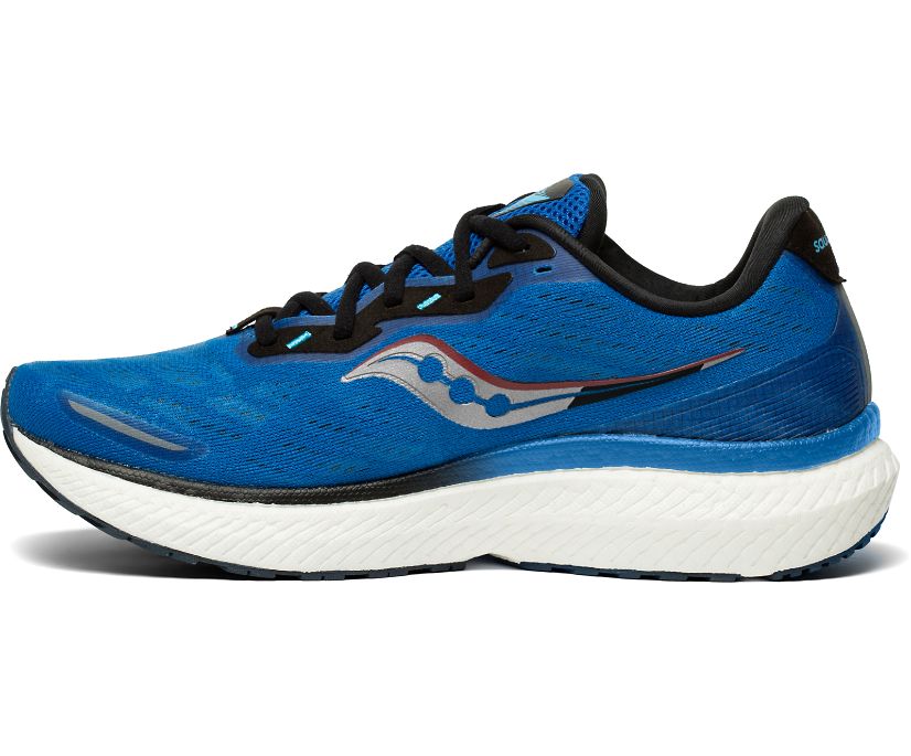 Saucony Triumph 19 Muške Tenisiće Kraljevska Plava Tamno Zelene | I6WCUR0K