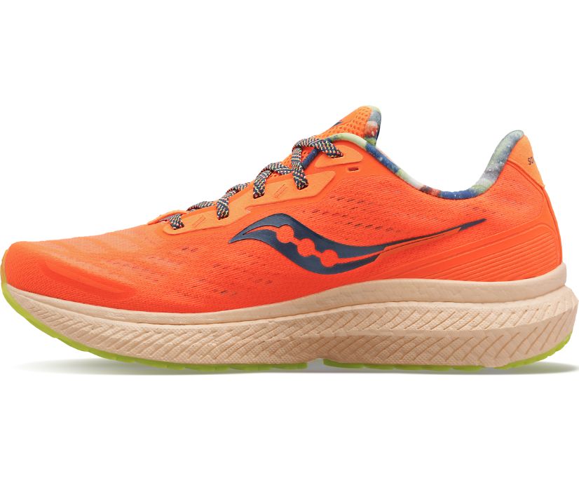 Saucony Triumph 19 Muške Tenisiće Narančaste | CJPZHWLP