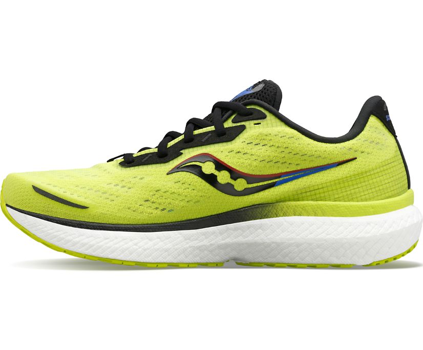 Saucony Triumph 19 Muške Tenisiće Žute Plave Crne | FC946X3D