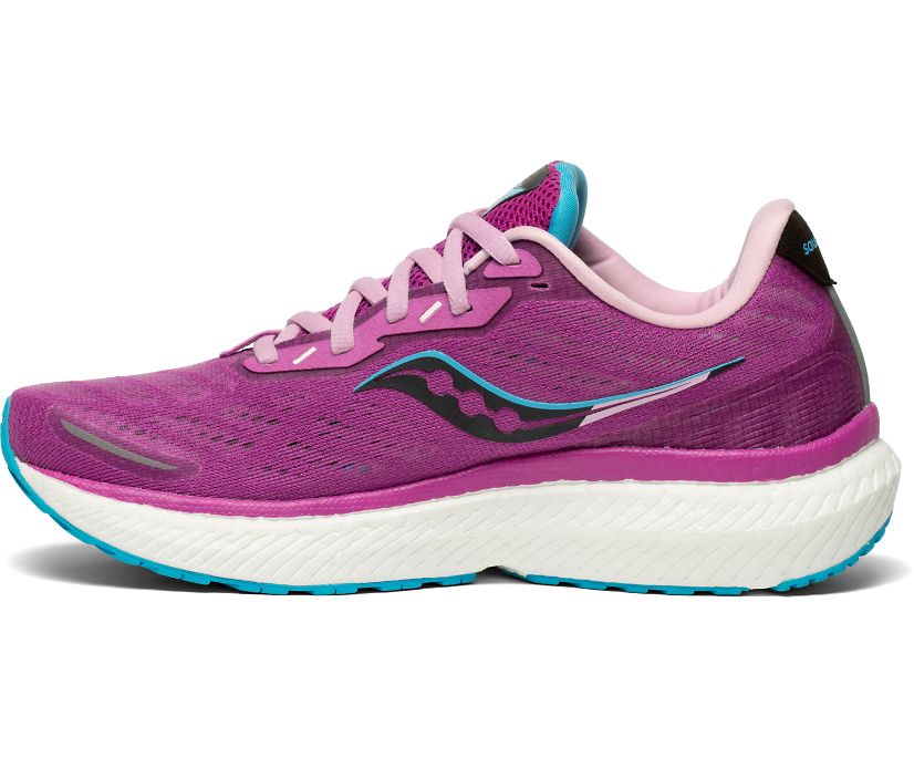 Saucony Triumph 19 Ženske Cipele Za Hodanje Ljubičaste Plave | U4PPHCGI